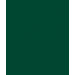 Фон бумажный Savage Widetone Evergreen 18 Зелёный рулон 1.36 x 11 м