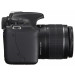 Фотоаппарат Canon EOS 1100D Kit 18-55 III