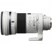 Объектив Sony A 300mm f/2.8 G SSM II