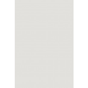 Фон бумажный Savage Widetone Soft Gray 90 Серый рулон 2.72 x 11 м