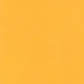 Фон бумажный BD Marigold 2.72x11m (169)