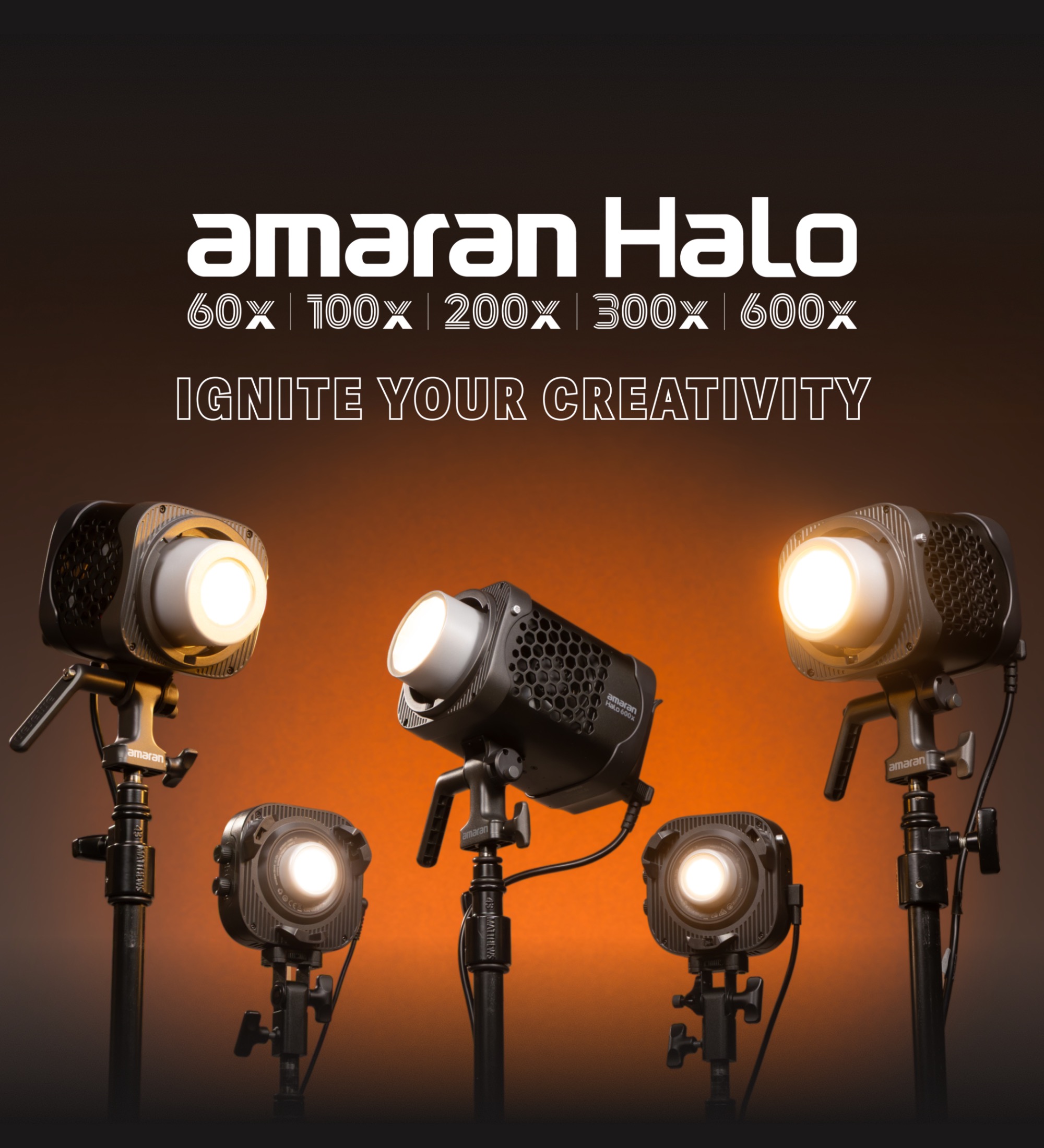 Amaran Halo